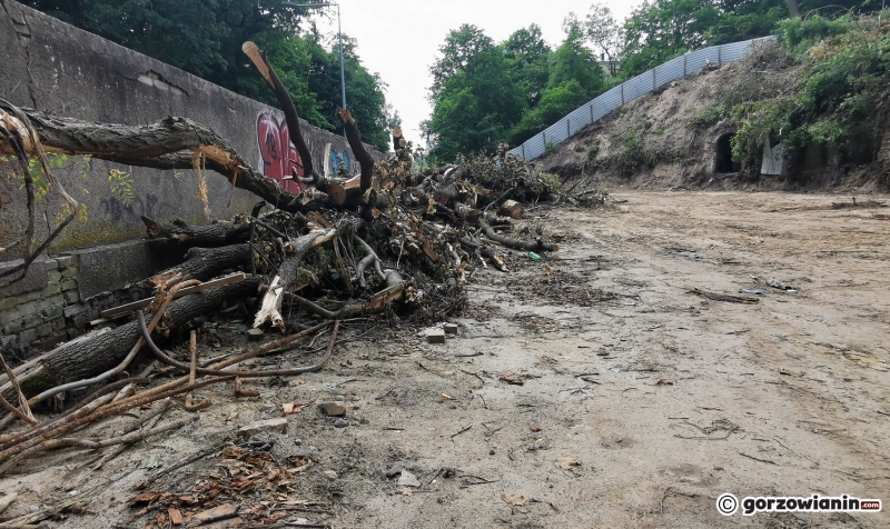 6/13 Rozbiórka dawnej leżakowni piwa, czyli piwnic Ehrenberga wstrzymana
