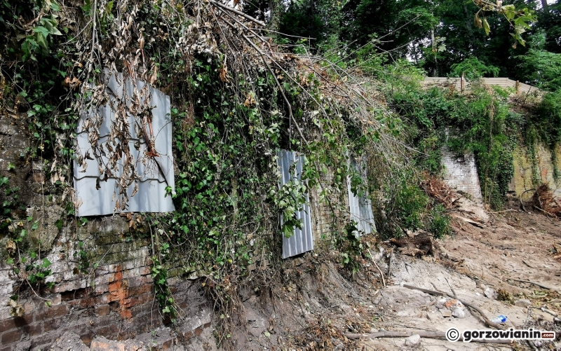 9/13 Rozbiórka dawnej leżakowni piwa, czyli piwnic Ehrenberga wstrzymana