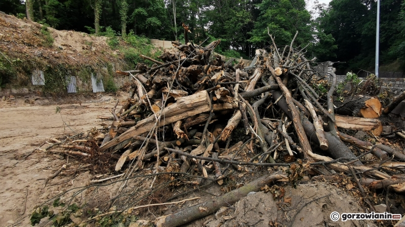 13/13 Rozbiórka dawnej leżakowni piwa, czyli piwnic Ehrenberga wstrzymana