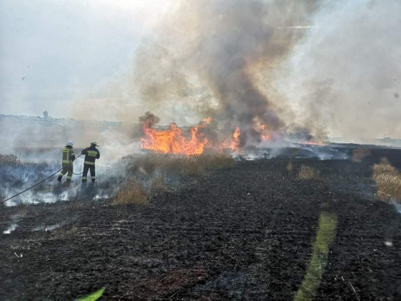 2/11 Pożar zboża w Racławiu