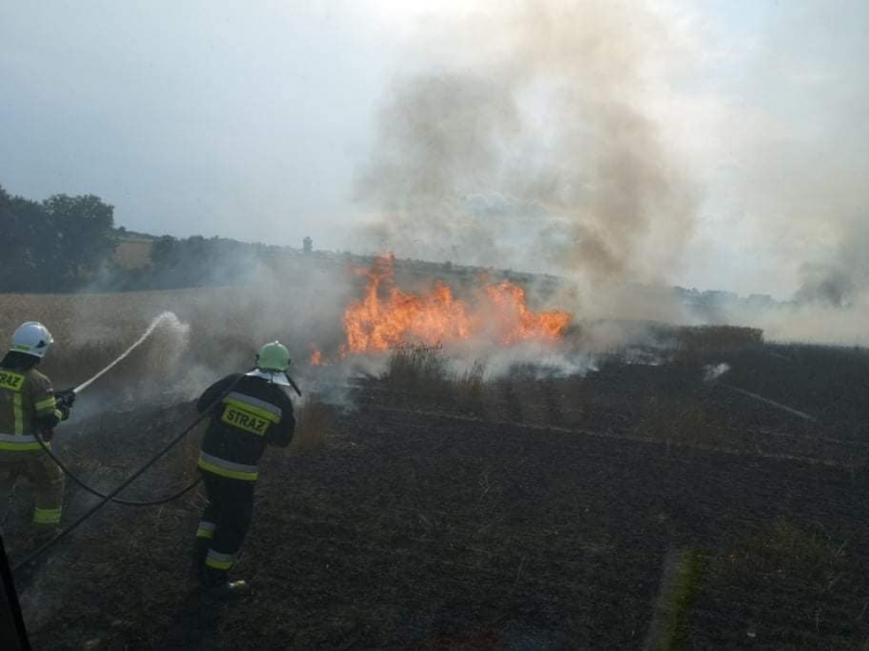 3/11 Pożar zboża w Racławiu