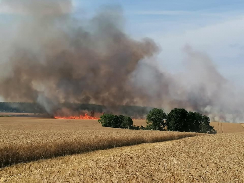 6/11 Pożar zboża w Racławiu