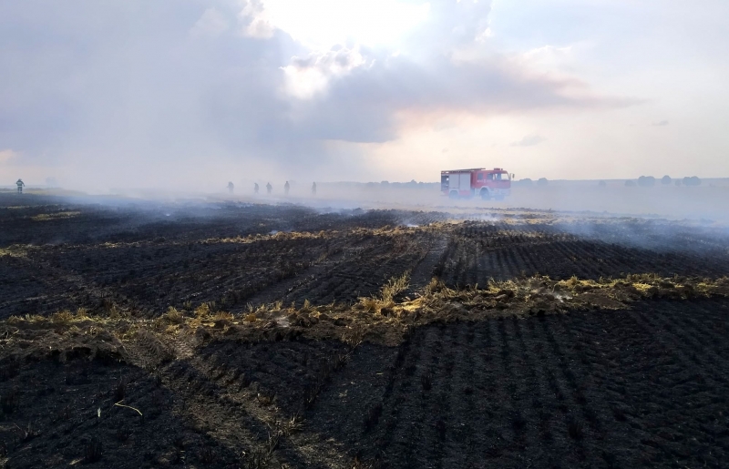 8/11 Pożar zboża w Racławiu
