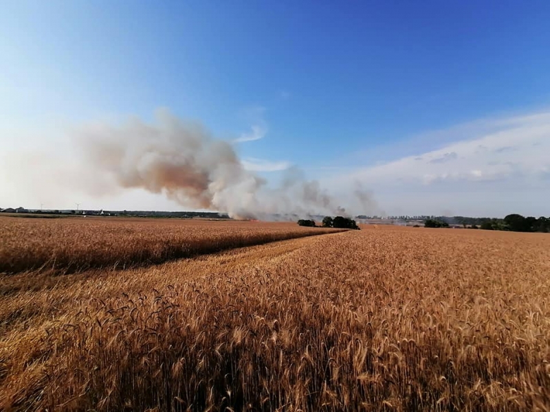 9/11 Pożar zboża w Racławiu