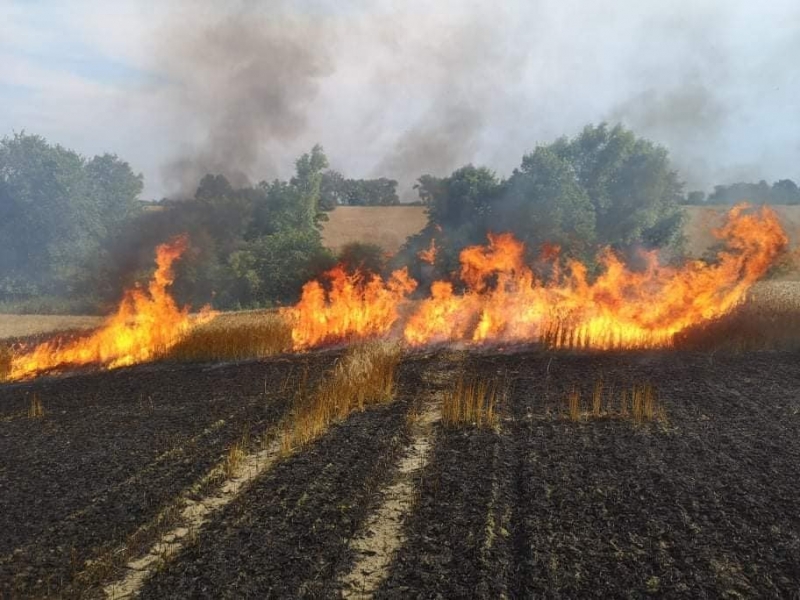 10/11 Pożar zboża w Racławiu