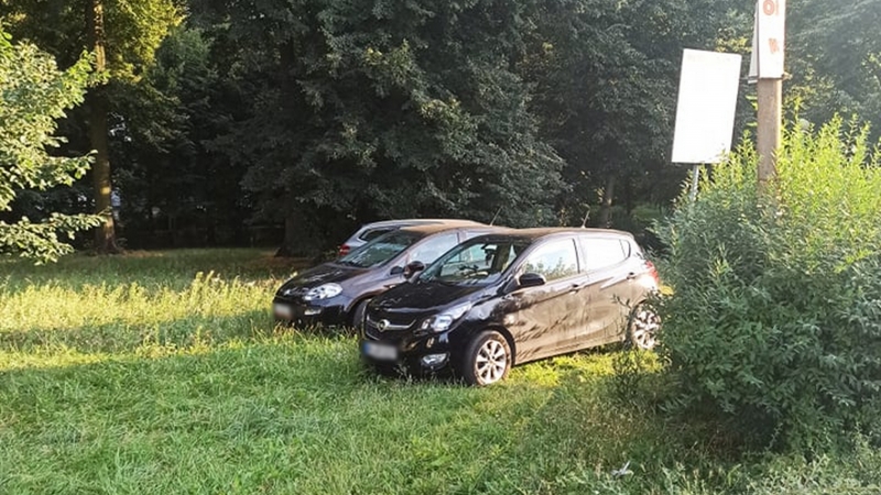 3/6 Kierowcy parkujący na trawniku w parku przy ul. Wawrzyniaka