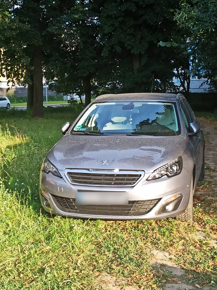 4/6 Kierowcy parkujący na trawniku w parku przy ul. Wawrzyniaka