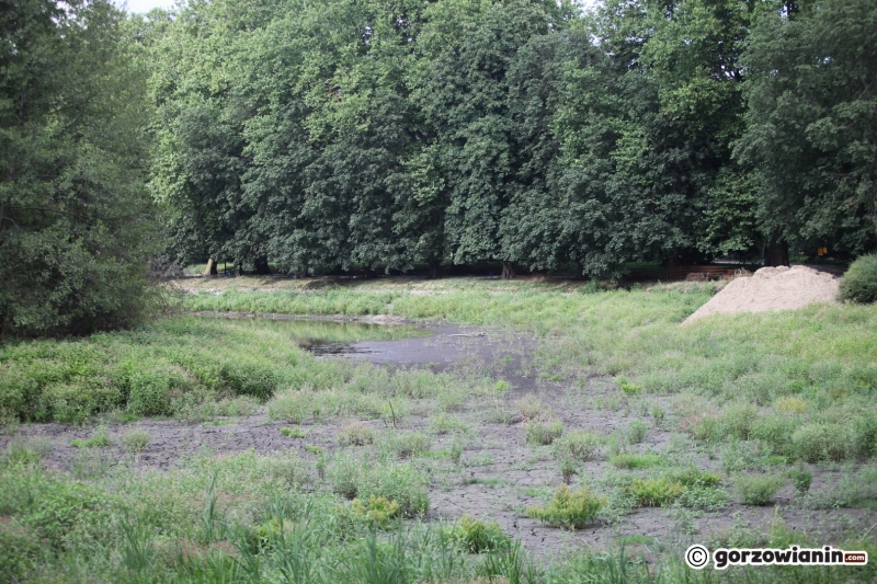 16/19 Stan prac w parku Róż