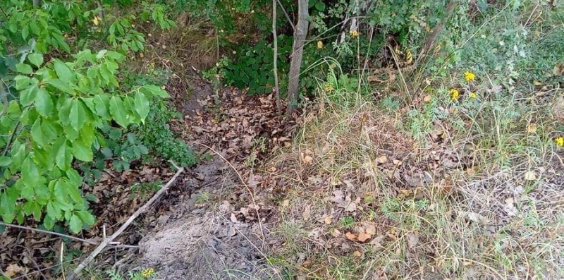 5/11 Śmieci z Gorzowskich Muraw zostały uprzątnięte