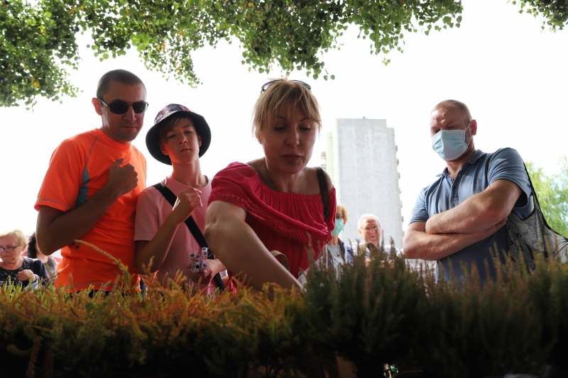 3/17 Akcja rozdawania wrzosów i lawendy mieszkańcom Gorzowa