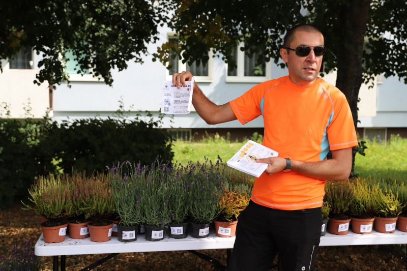 10/17 Akcja rozdawania wrzosów i lawendy mieszkańcom Gorzowa