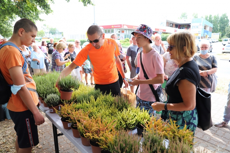 16/17 Akcja rozdawania wrzosów i lawendy mieszkańcom Gorzowa