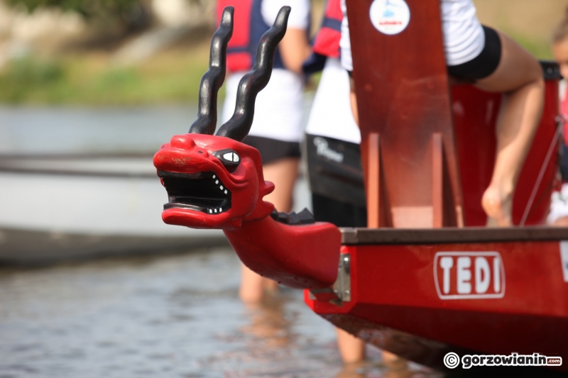 8/23 Wyścigi smoczych łodzi na rzece Warcie
