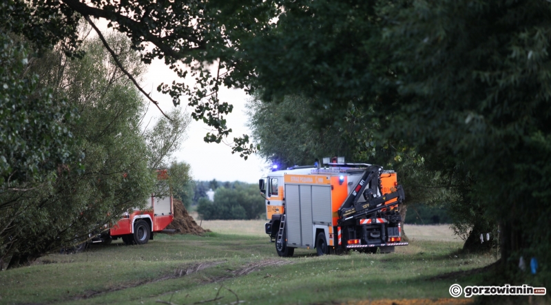 7/9 Akcja ratunkowa byków, które wpadły do bagna