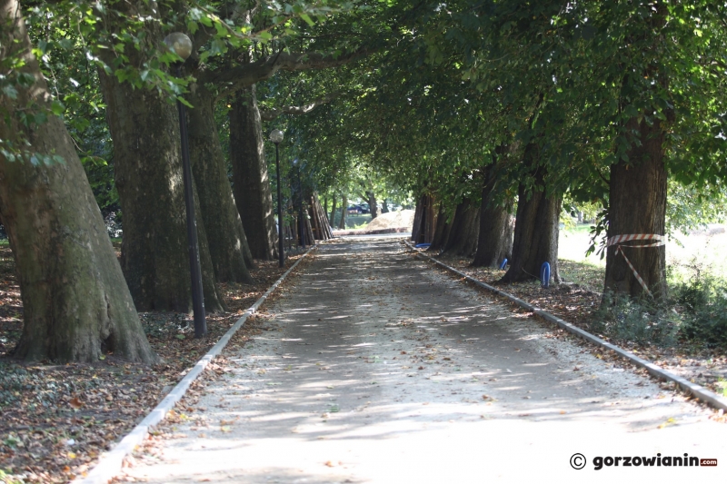 8/26 Rewitalizacja parku Róż - wrzesień 2021