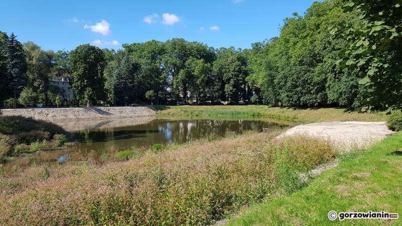 12/26 Rewitalizacja parku Róż - wrzesień 2021