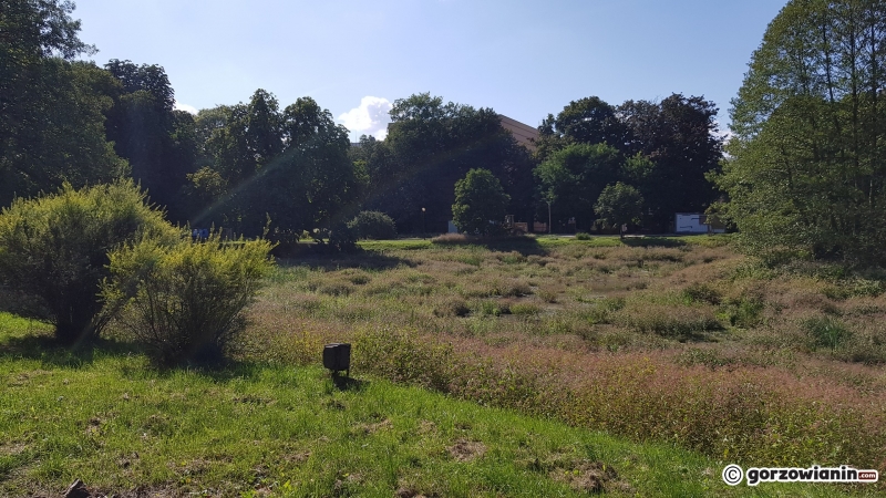 22/26 Rewitalizacja parku Róż - wrzesień 2021