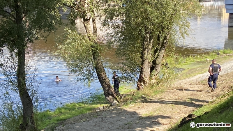 5/10 Mężczyzna wskoczył do rzeki Warty. Akcja służb