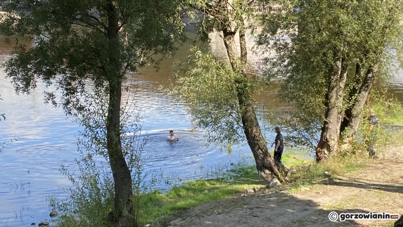 8/10 Mężczyzna wskoczył do rzeki Warty. Akcja służb