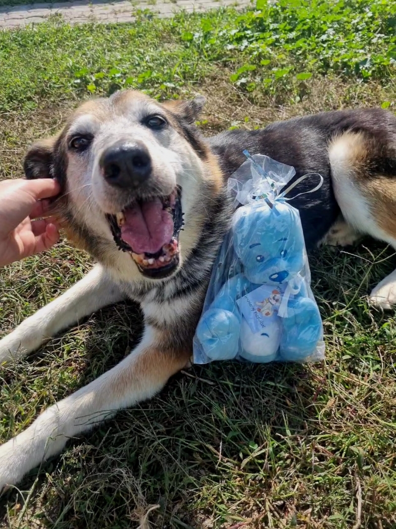 3/4 Kup Pluszaka- wesprzyj Schroniaka