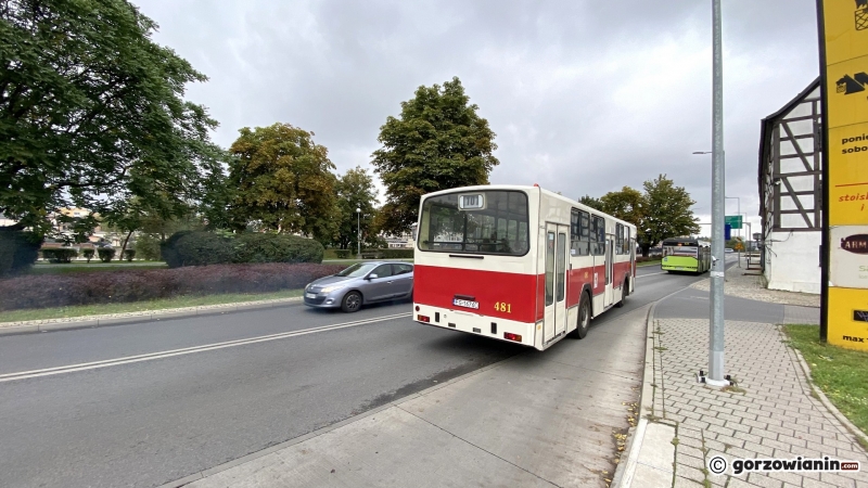 5/10 Jelcz i Helmut wożą pasażerów po Gorzowie