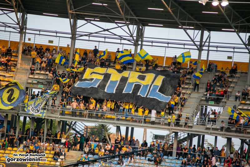 11/41 Stal z brązowym medalem DMP!