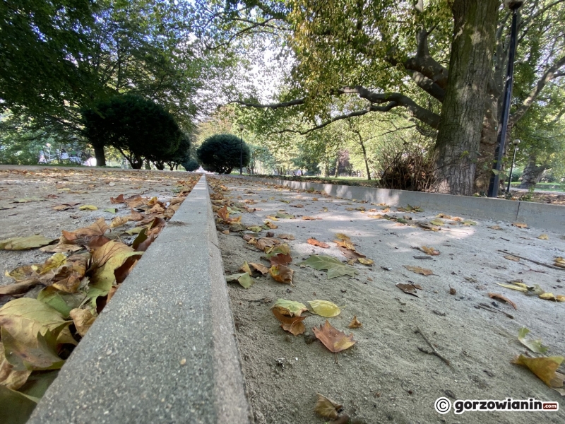 4/22 Postęp prac w parku Róż - październik 2021