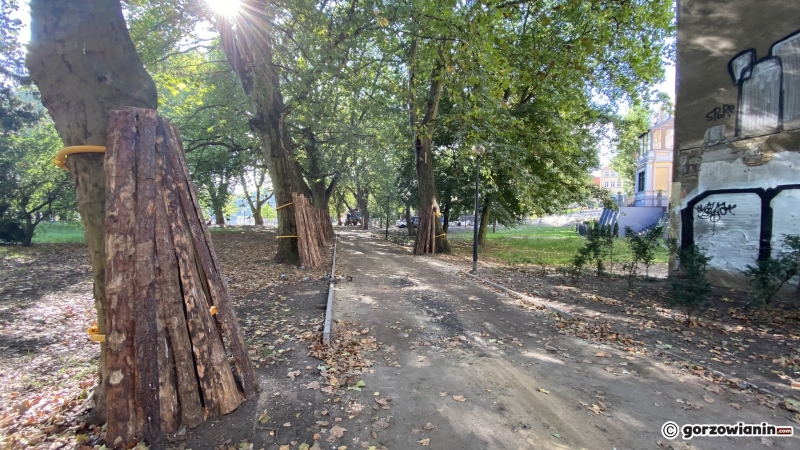 7/22 Postęp prac w parku Róż - październik 2021