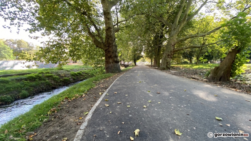 14/22 Postęp prac w parku Róż - październik 2021