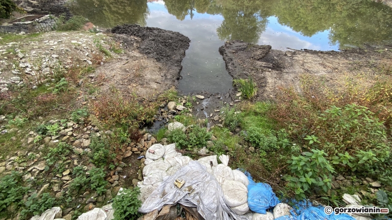 16/22 Postęp prac w parku Róż - październik 2021