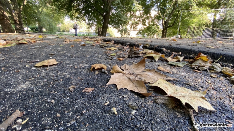 17/22 Postęp prac w parku Róż - październik 2021