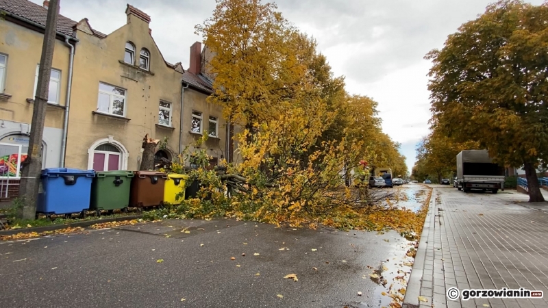 2/20 Połamane drzewa i gałęzie. Strażacy usuwają skutki silnego wiatru