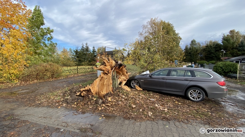 4/20 Połamane drzewa i gałęzie. Strażacy usuwają skutki silnego wiatru