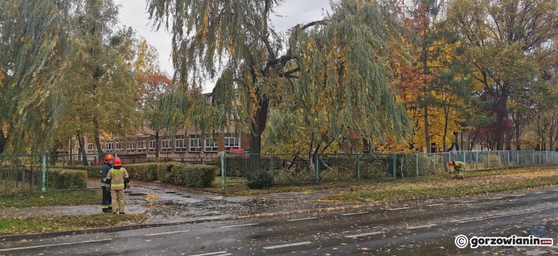 7/20 Połamane drzewa i gałęzie. Strażacy usuwają skutki silnego wiatru