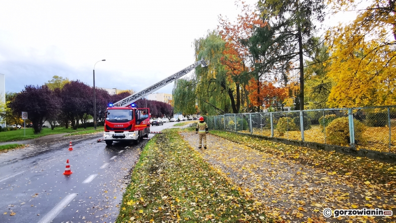 15/20 Połamane drzewa i gałęzie. Strażacy usuwają skutki silnego wiatru
