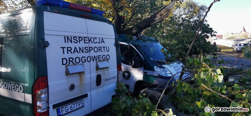 18/20 Połamane drzewa i gałęzie. Strażacy usuwają skutki silnego wiatru