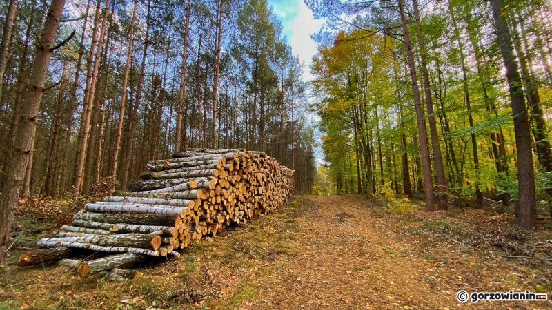 4/14 Jesień w obiektywie