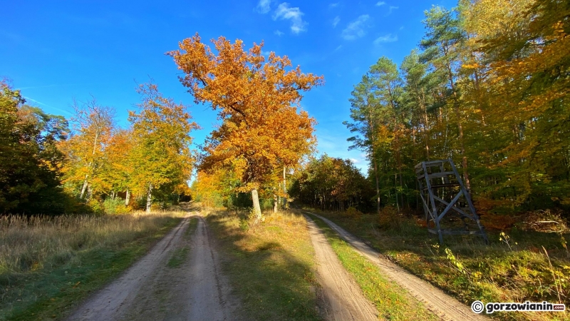 6/14 Jesień w obiektywie