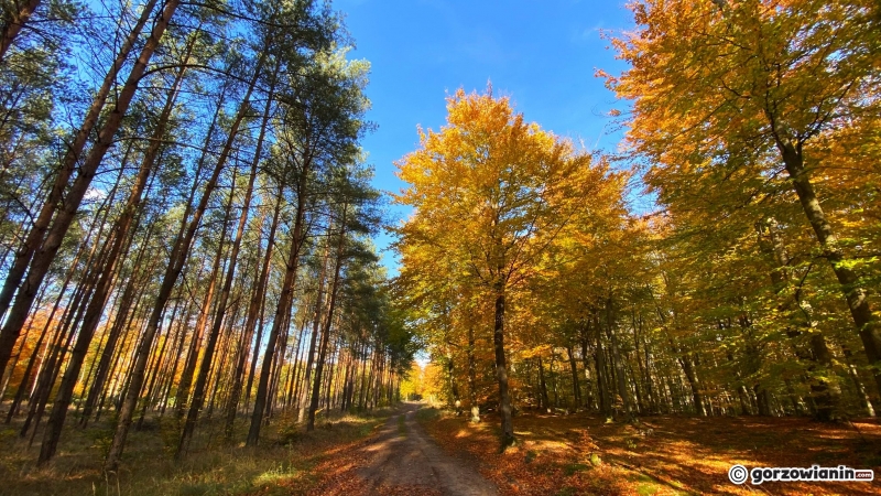 9/14 Jesień w obiektywie