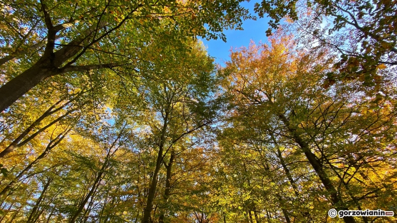 10/14 Jesień w obiektywie