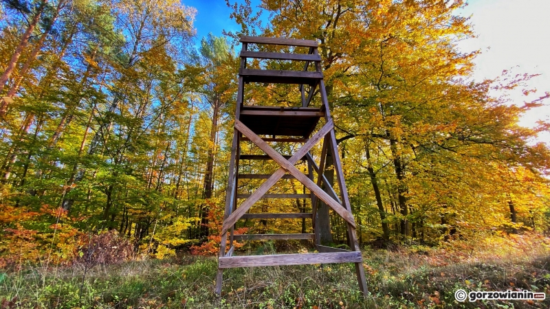 11/14 Jesień w obiektywie