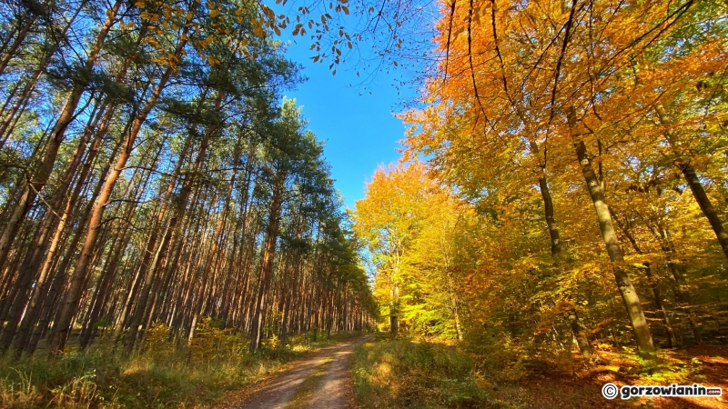 13/14 Jesień w obiektywie