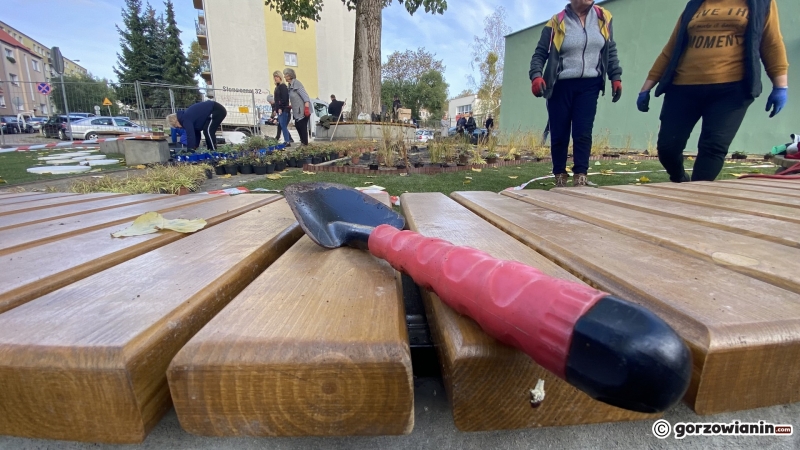 1/11 Na osiedlu Słonecznym powstaje park kieszonkowy