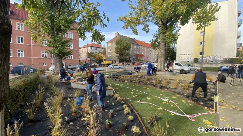 8/11 Na osiedlu Słonecznym powstaje park kieszonkowy