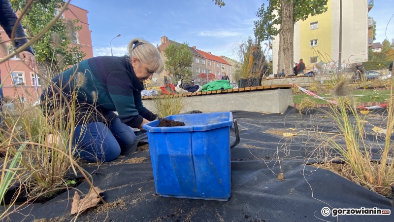 9/11 Na osiedlu Słonecznym powstaje park kieszonkowy