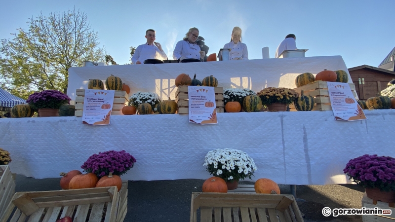 14/16 Festiwal Dyni i Chryzantem na Ryneczku Jerzego