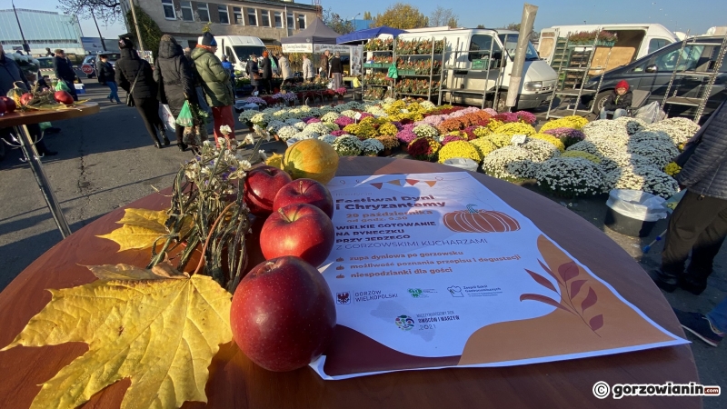 16/16 Festiwal Dyni i Chryzantem na Ryneczku Jerzego
