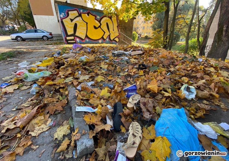 5/6 Śmieci przy ul. Słonecznej 74 zostały w końcu posprzątane