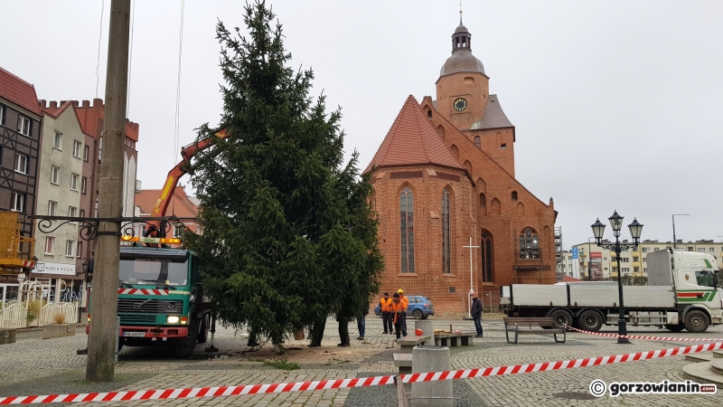 1/11 Ustawianie choinki na Starym Rynku