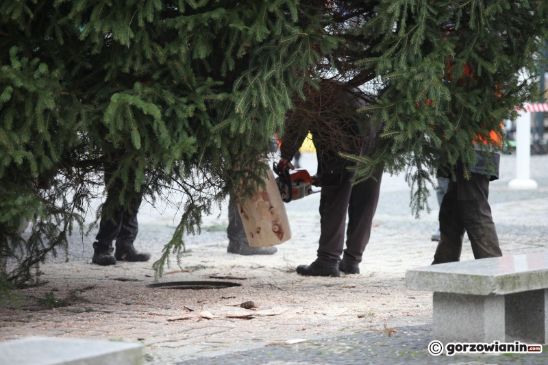 4/11 Ustawianie choinki na Starym Rynku